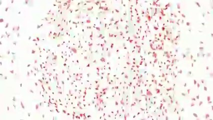 A Heartfelt Love Story 💖