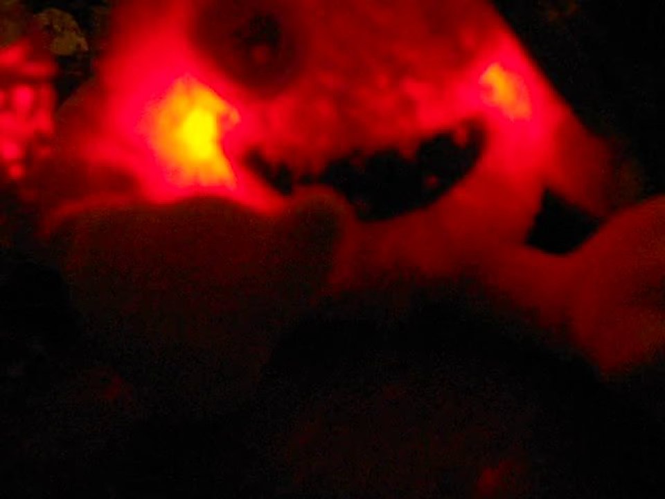 CAN U SAY RAW SQUIRREL