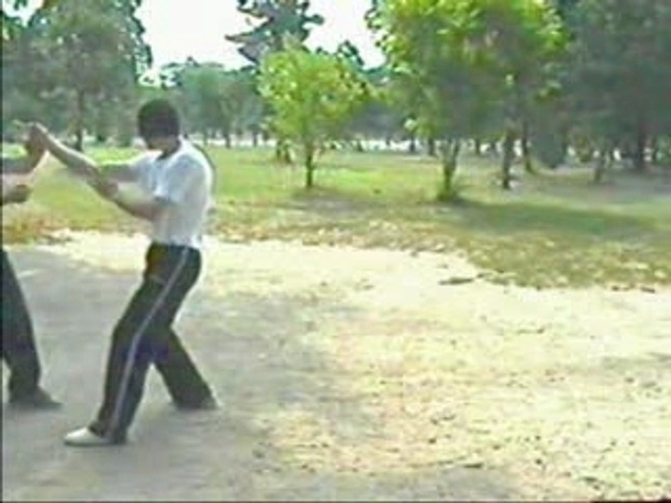 francewingchun_Chisao