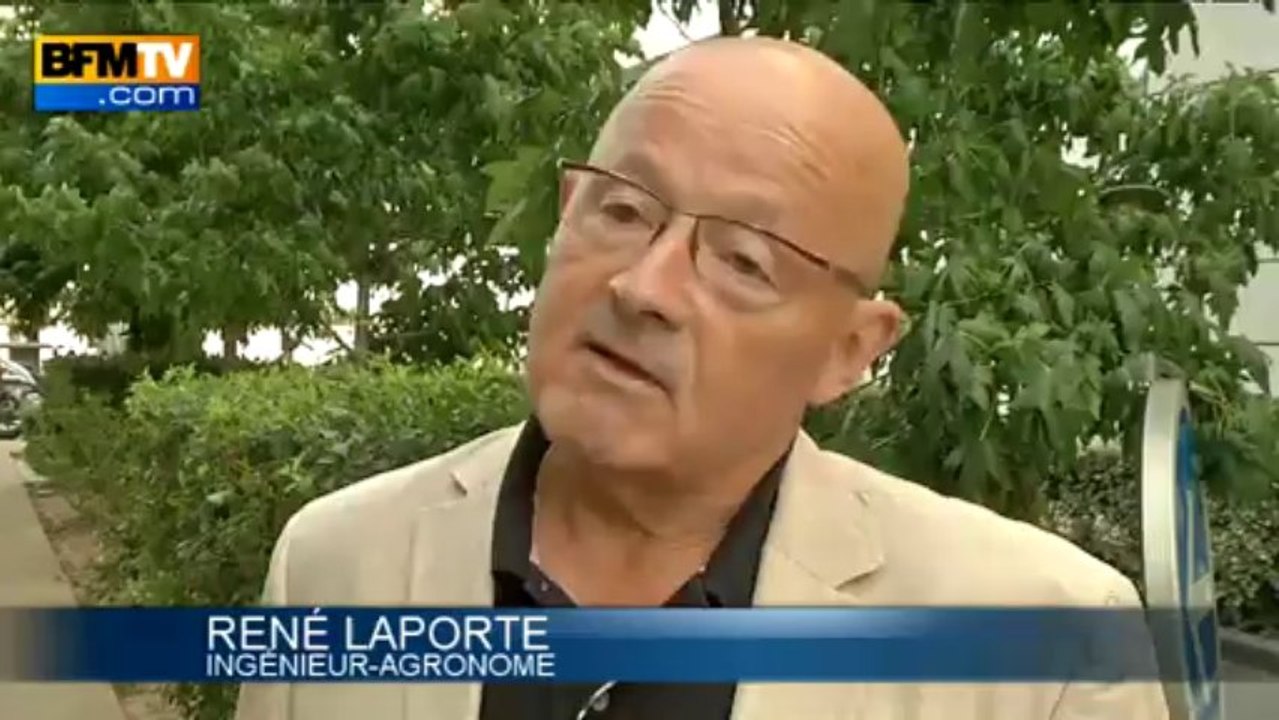 Quel avenir pour la viande artificielle? - 06/08