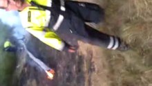 bos brandje heesch