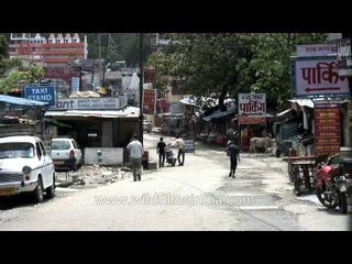 Rishikesh is devoid of tourists: Post Floods
