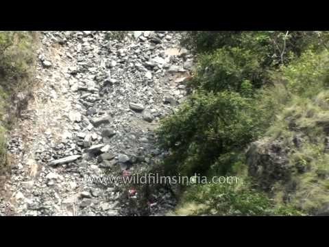 Victims and wounded pilgrims evacuated: Uttarakhand Disaster