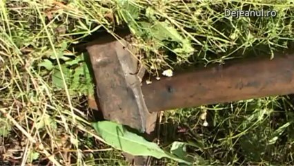 ranit de roata dejeanul