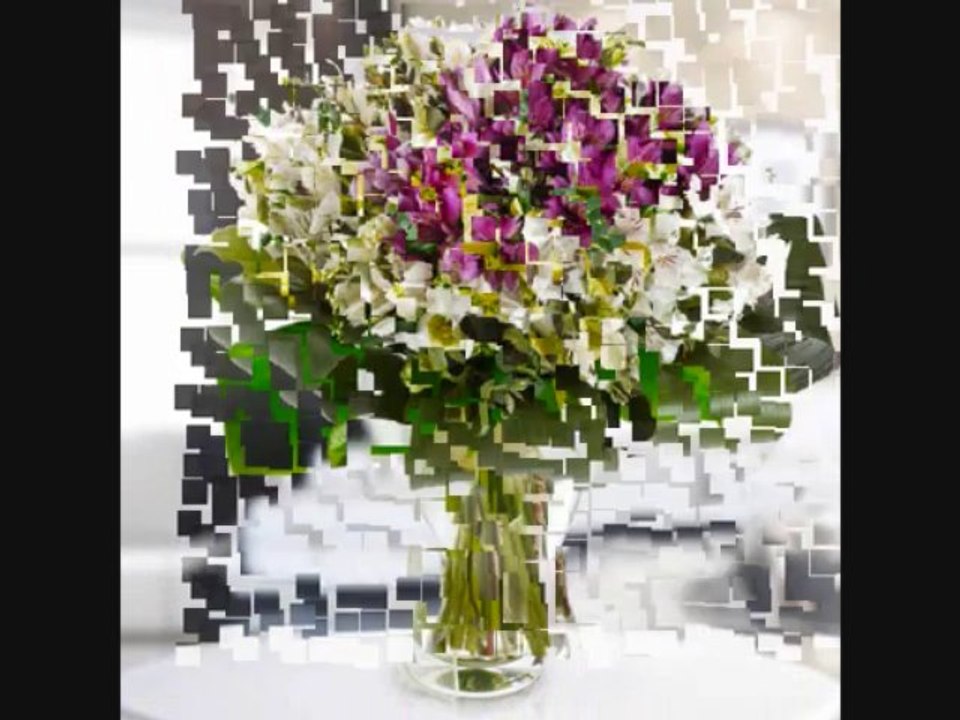 Floraqueen - White Flowers