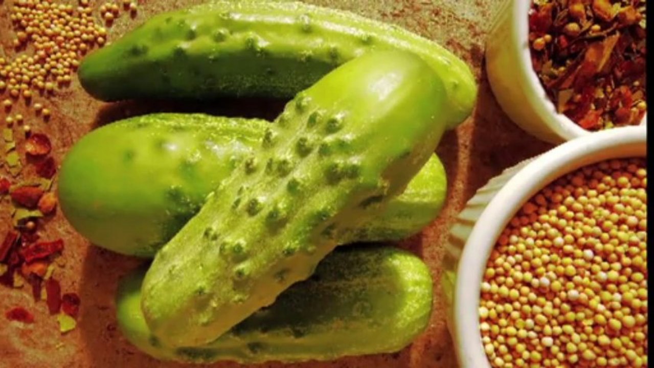 Tepegöz Shoot Fotoğrafçılık (Fotografçılık)