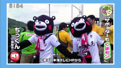 いっちゃんリポーター