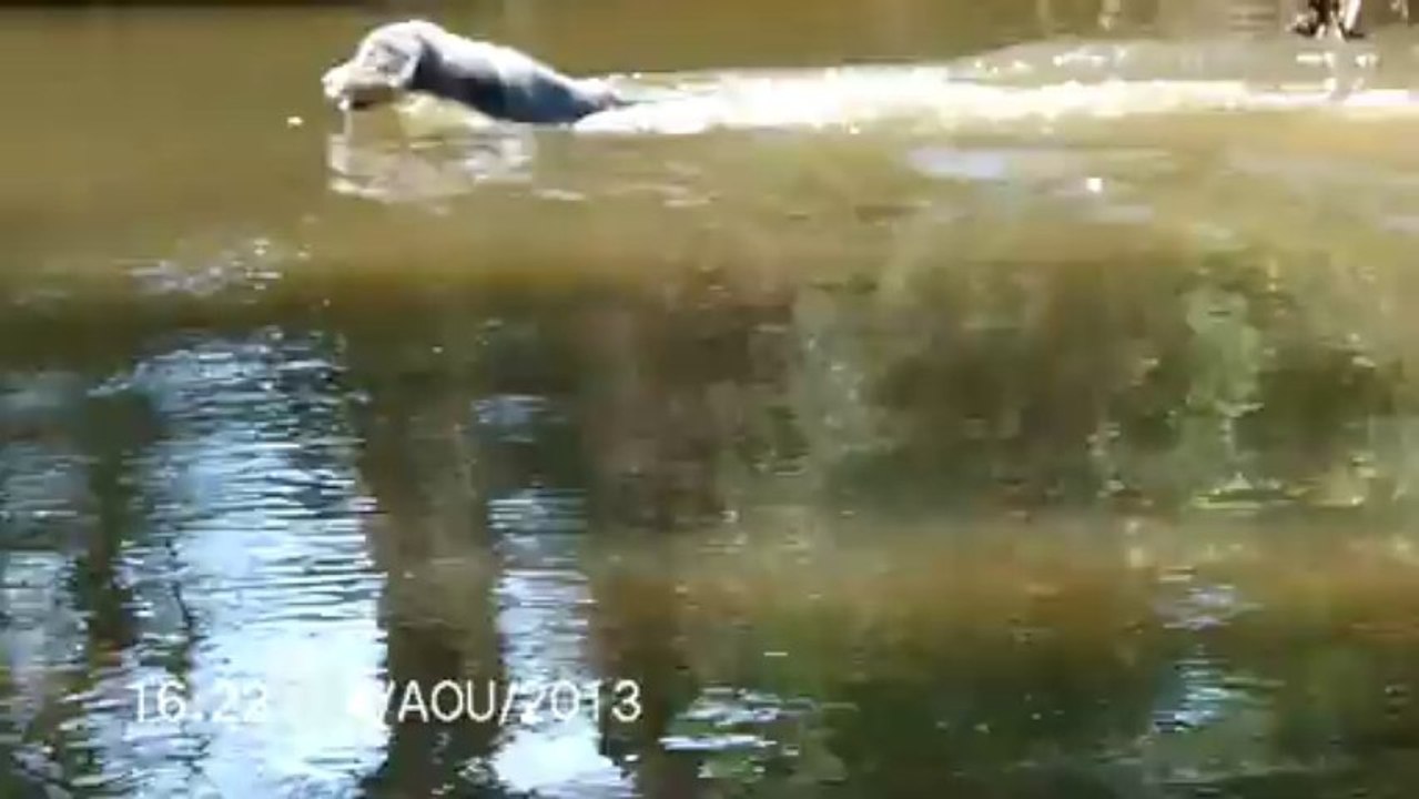 A la rivière
