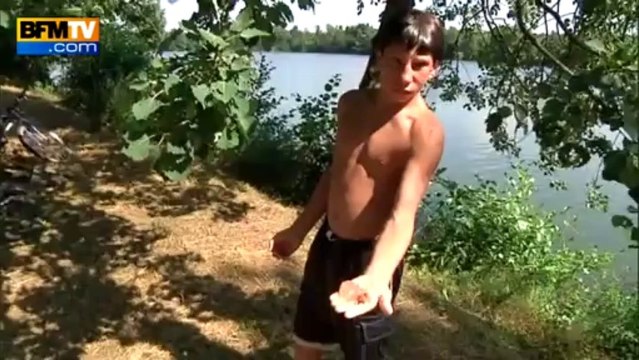 Grosse chaleur: gare aux méduses d'eau douce - 06/08