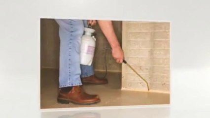 Bugeaters Pest Control LLC - (402) 480-1845