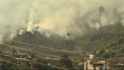 Hatay'da orman yangını