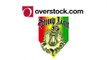 Overstock Presents Snoop Lion 
