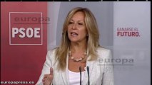 PSOE pide explicaciones al Gobierno sobre Galván Viña