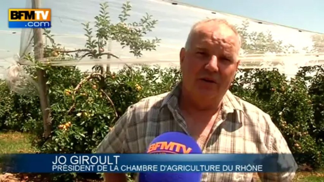 Des filets anti-grêle pour lutter contre les caprices de la météo - 06/08