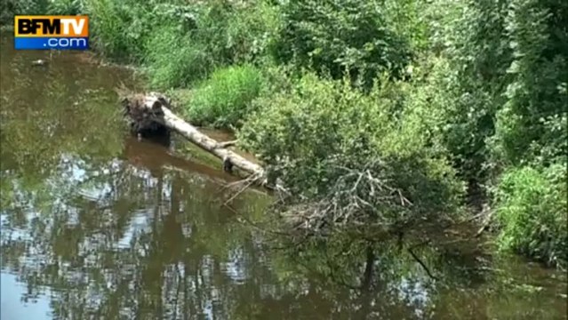 D'énormes grêlons ont fait d'importants dégâts en Auvergne - 06/08
