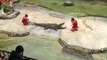 Un dresseur de crocodile se fait mordre en plein spectacle