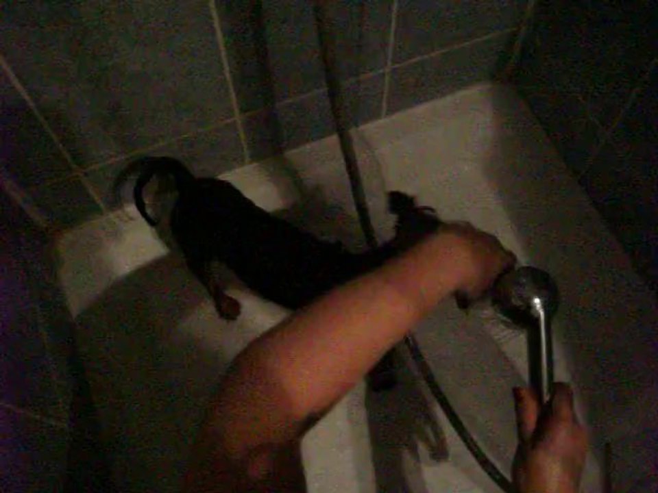 a la douche  2