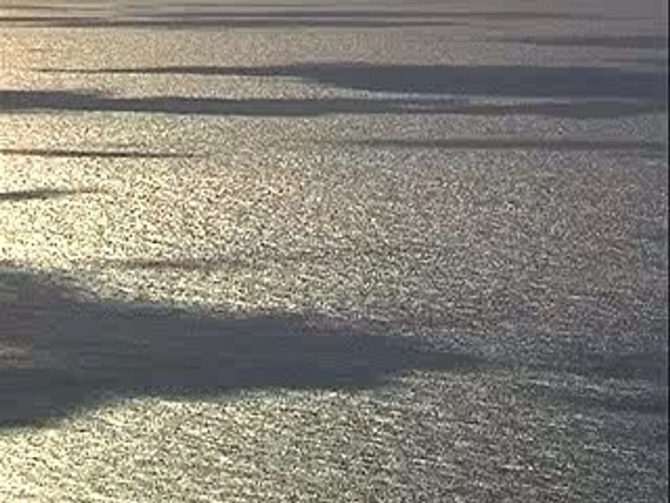 L'UE au secours de ses mers et océans