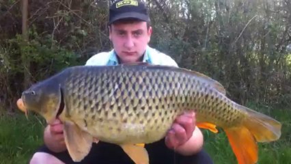 Compilation carpe team DG multipêche