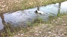 РОС Белка - подача с воды