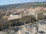 Une minute devant le palais des Papes au temps de l'éléphant de Miquel Barcelo(2010/11)