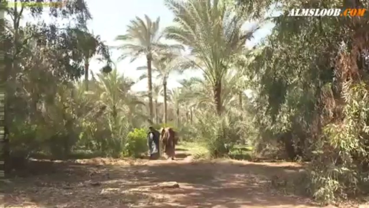 خيبر الحلقة 28