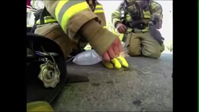 Un pompier ramène un chaton à la vie