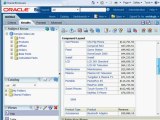 Oracle BI Tutorial | Learn How To Create An Oracle Business Intelligence 11g Analysis
