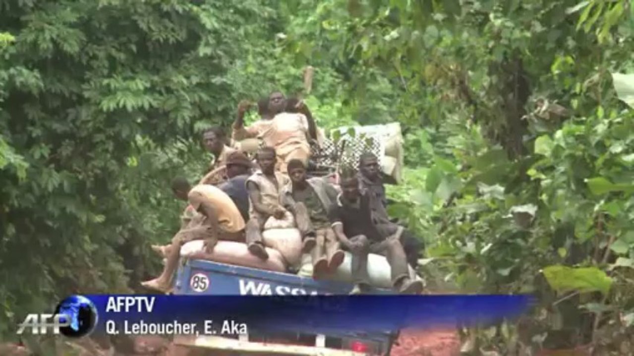 Côte d'Ivoire: l'Etat veut reconquérir les forêts