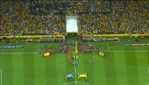 Brasil 3 España 0  Copa Confederaciones. Final.