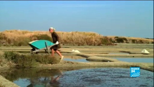 Les marais salants de Guérande
