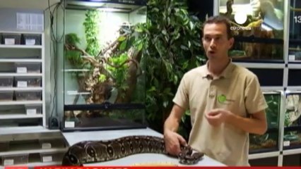 Kanada polisi yılan faciasıyla ilgili soruşturma...