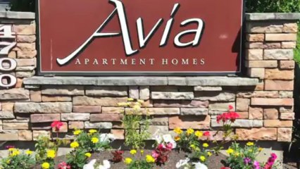 Avia Apartments in Lynnwood, WA - ForRent.com