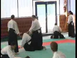 Stage Iaido Aikido Michel Prouveze