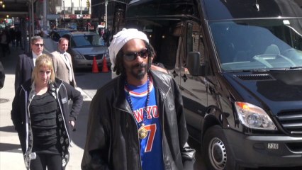 The Backstreet Boys, Chloe Sevigny, Emily VanCamp And Snoop Lion