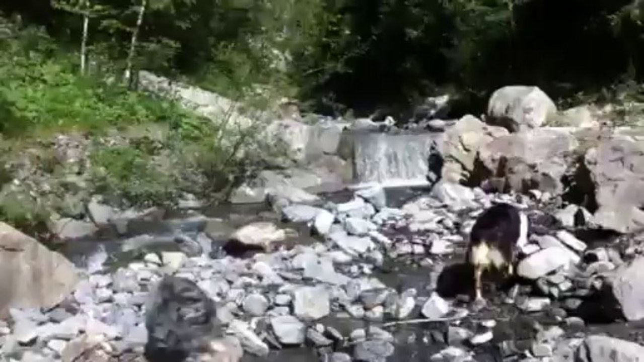 Valloire, torrent