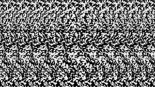 Contours cross-eyed stereogram animation