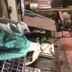 Mobile Capture 4 Aug 2013