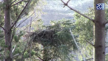Les Highlands, des terres protégées qui vous attendent