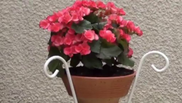 Fontaine les Dijon proche maison ancienne rénovée - Agence CARREZ immobilier