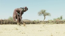 La Namibie subit sa plus grave sécheresse depuis 30 ans