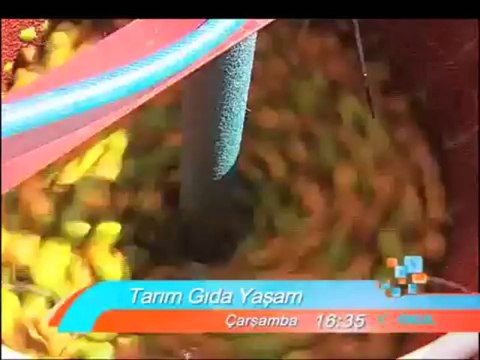 Kırşehir Kaman ve Kaman Cevizi Tarım-Gıda-Yaşam'da