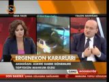 Akdoğan, Ergenekon kararlarını değerlendirdi