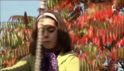 Le mystère des jumeaux  - 2/2