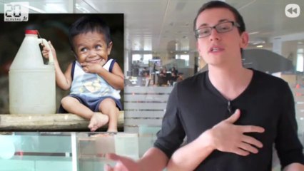 Les chiens... Kangourou !