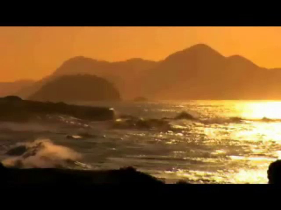Surf Rio de Janeiro