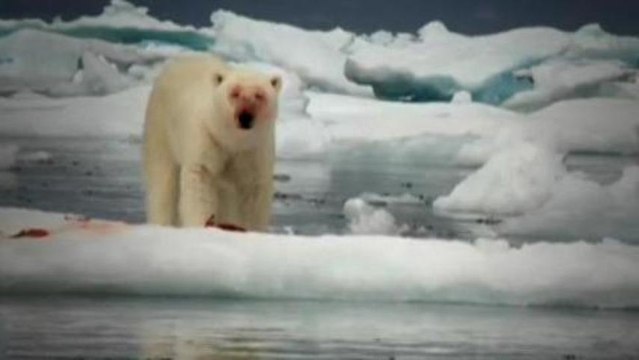 Climate reports alarm on global warming