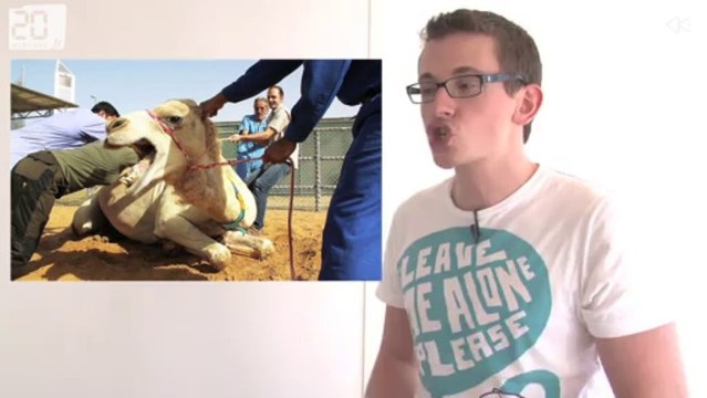 Il échappe à la mort en motoneige