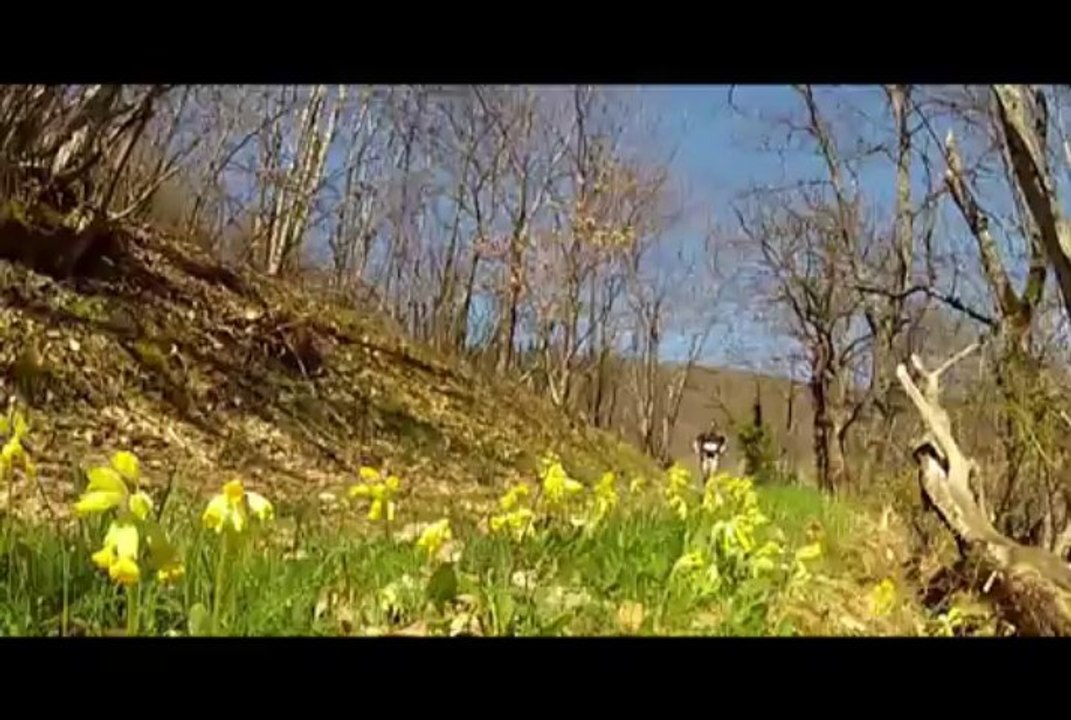 BEAUJOLAIS VILLAGES TRAIL : film résumé  3ème édition