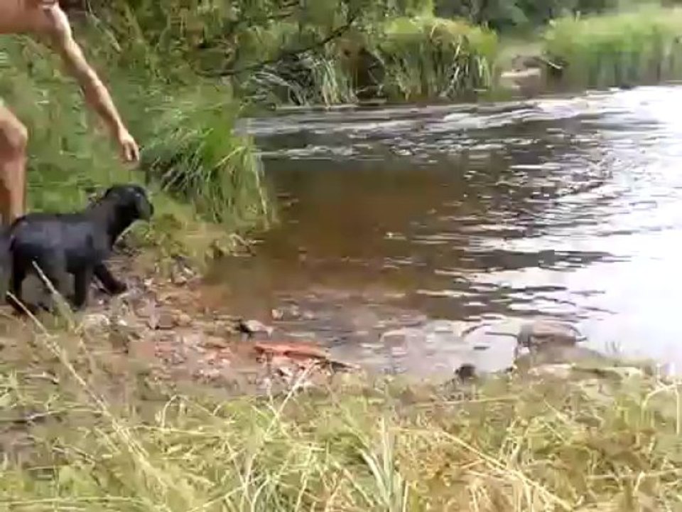 Diego premier pas au lac avec Faith
